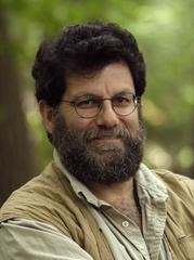 Dan Perlman