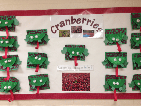 Cranberries Project